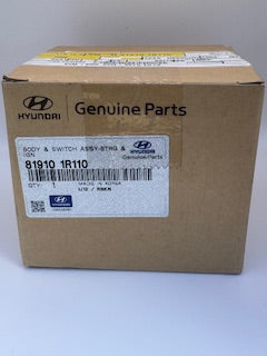 Hyundai 819101R110