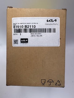 Kia 81910B2110