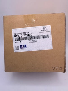 Hyundai 81970F2B00