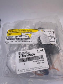 Kia 81900M7R00